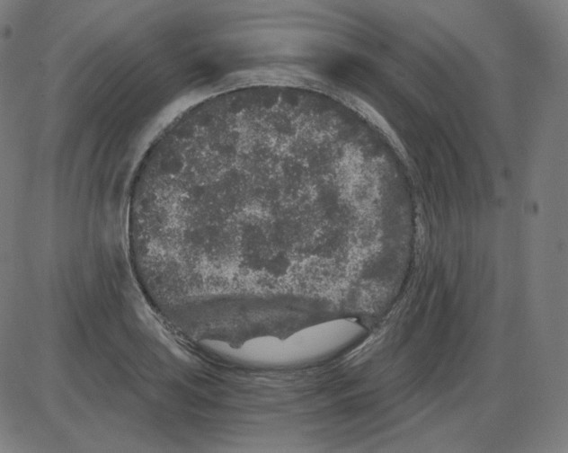 X0000084041035200703161826