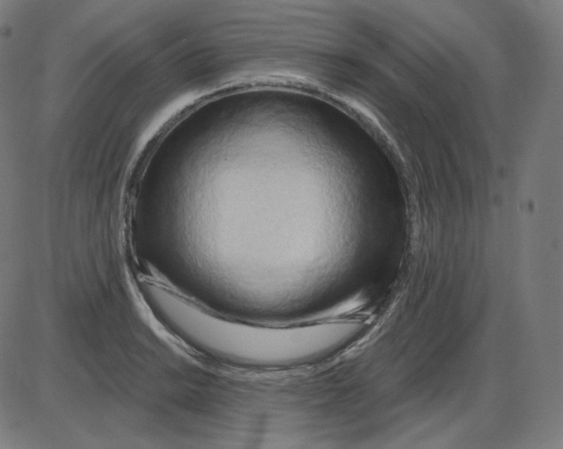 X0000084041038200703161826