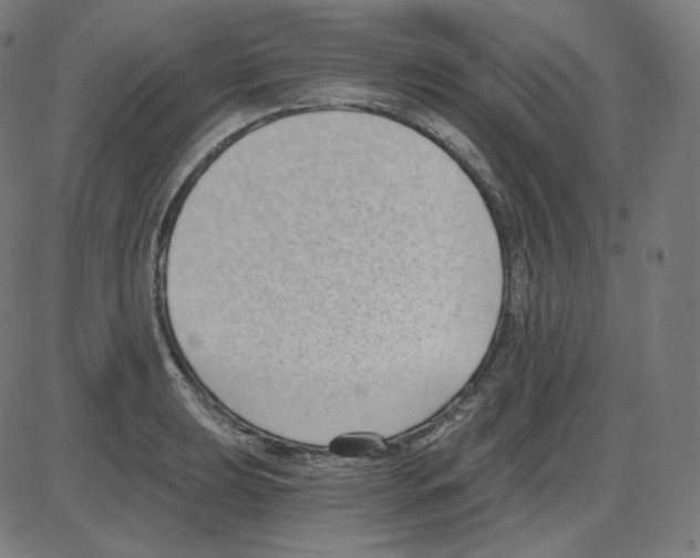 X0000084041039200703161826