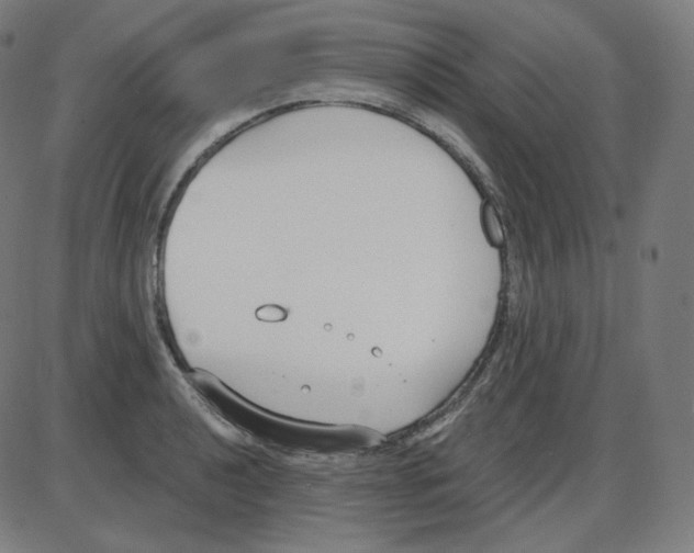 X0000084041040200703161826