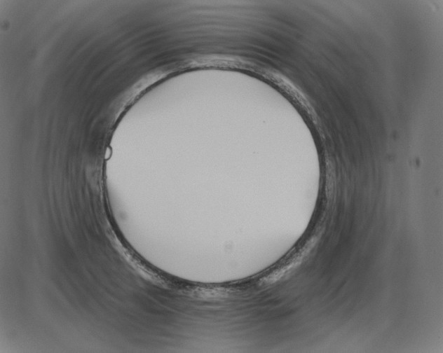 X0000084041041200703161826