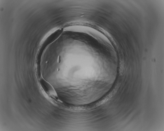 X0000084041042200703161826