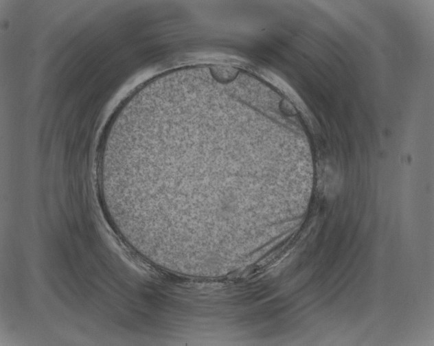 X0000084041043200703161826