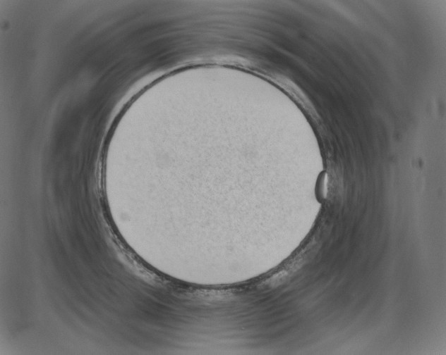 X0000084041044200703161826