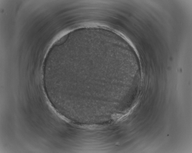 X0000084041045200703161826