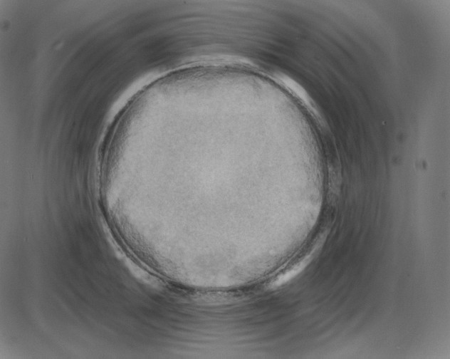 X0000084041046200703161826