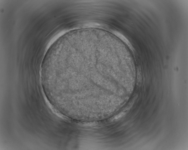 X0000084041047200703161826