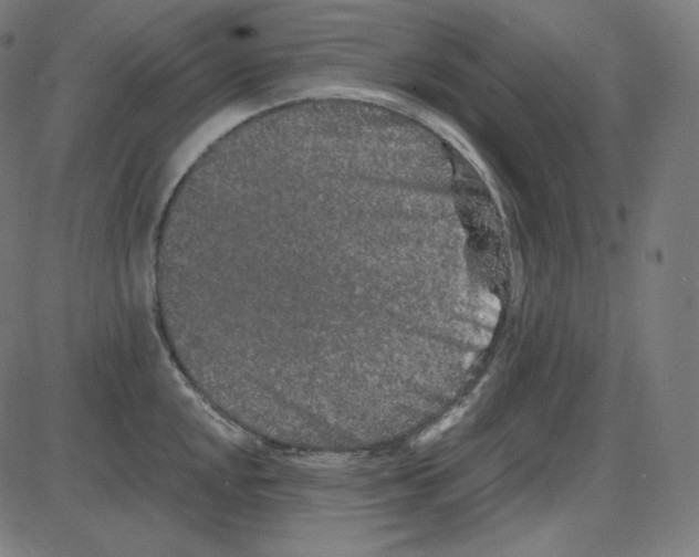 X0000084041048200703161826