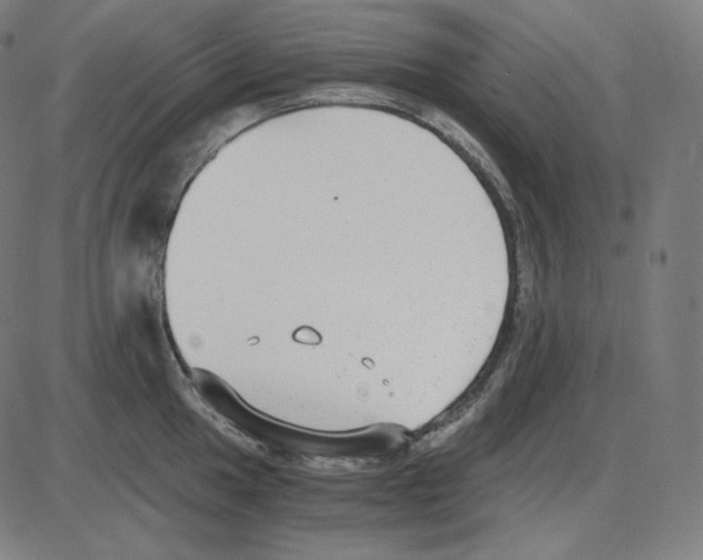 X0000084041049200703161826