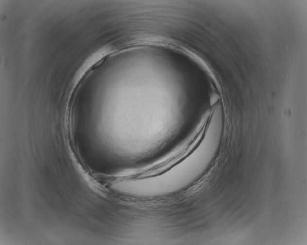 X0000084041050200703161826