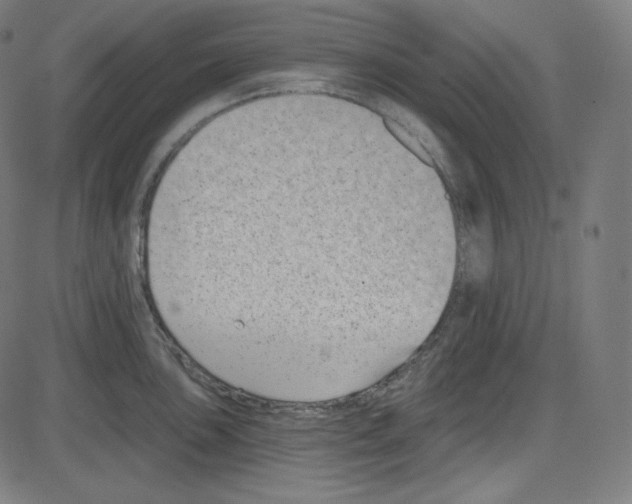 X0000084041051200703161826