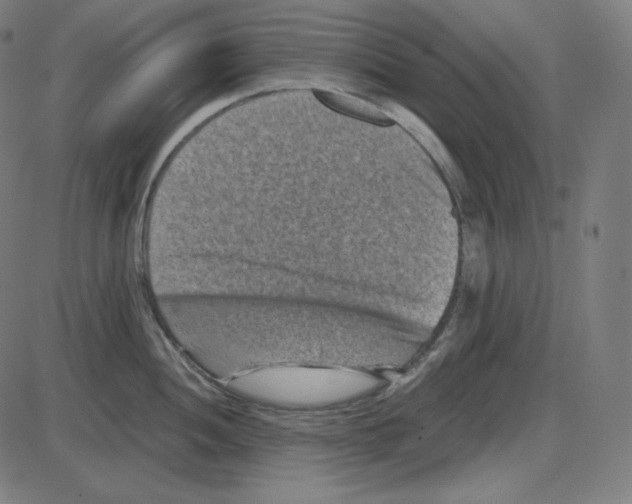 X0000084041052200703161826