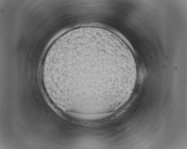 X0000084041053200703161826