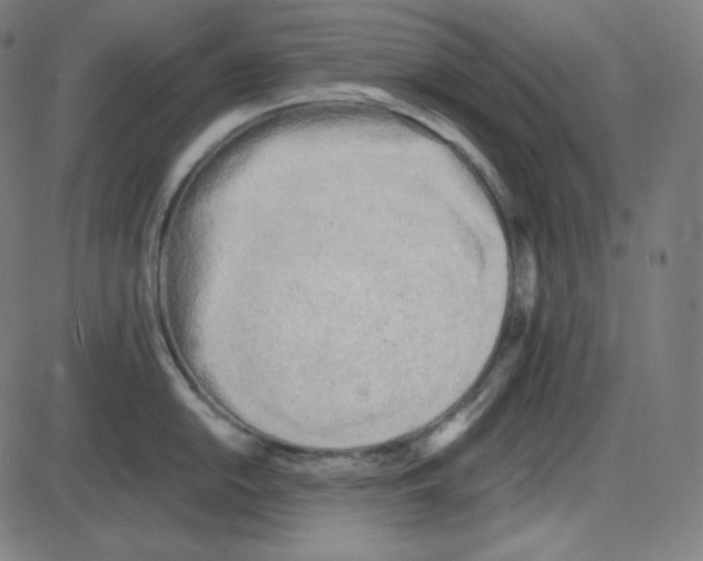 X0000084041054200703161826