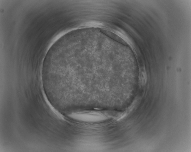 X0000084041055200703161826