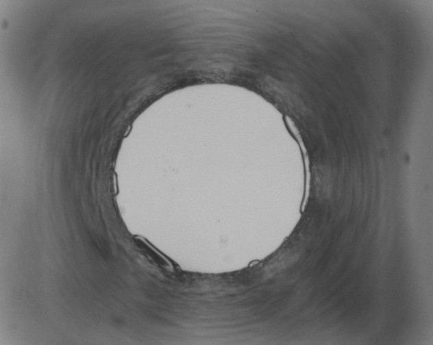 X0000084041057200703161826