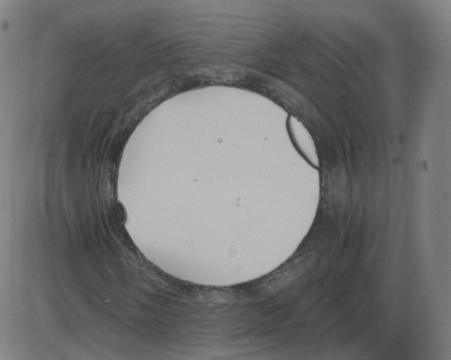 X0000084041058200703161826