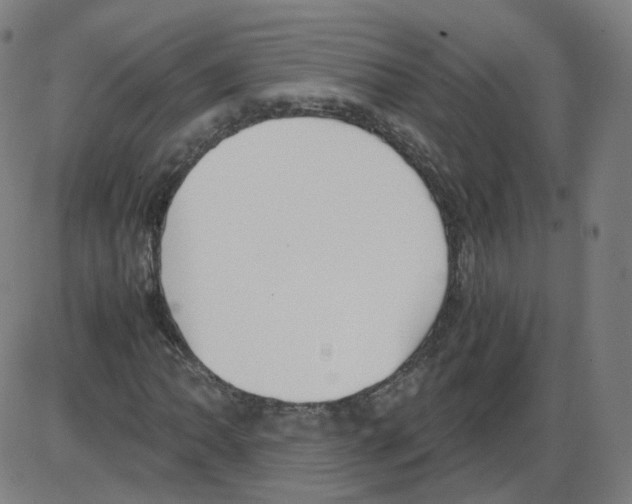 X0000084041062200703161825