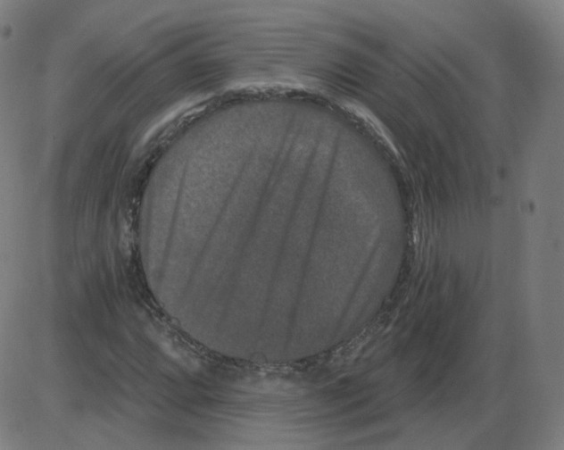 X0000084041064200703161825