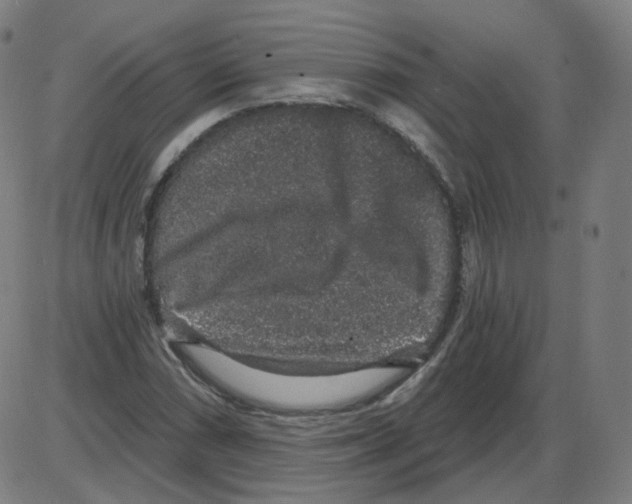 X0000084041066200703161825