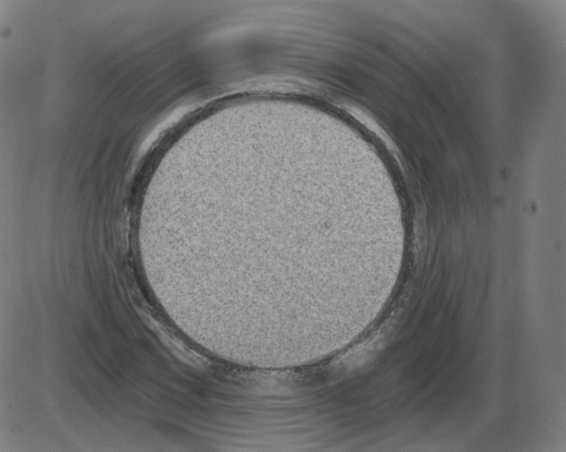 X0000084041067200703161825