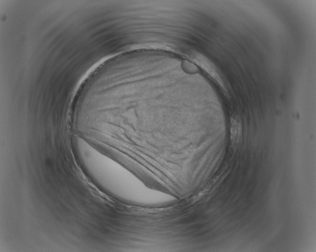 X0000084041068200703161825