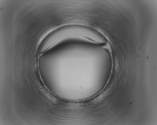 X0000084041069200703161825