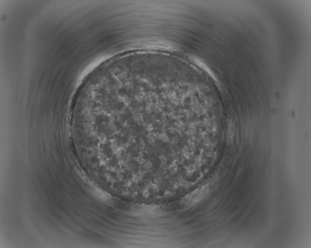 X0000084041071200703161825