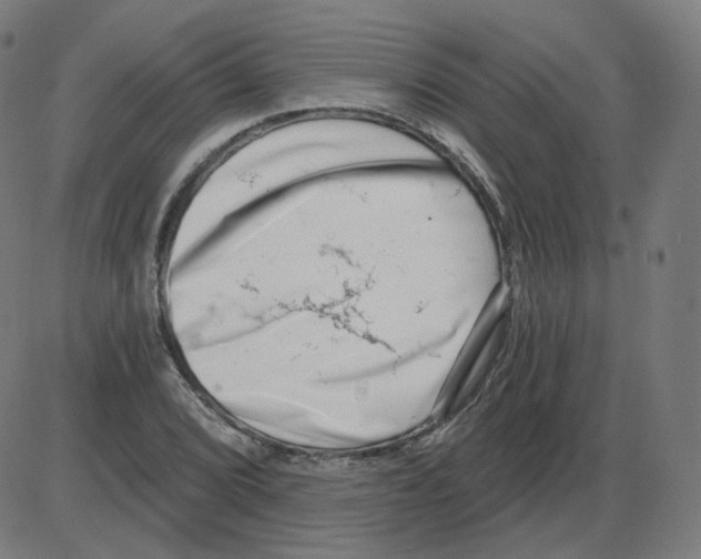 X0000084041072200703161825