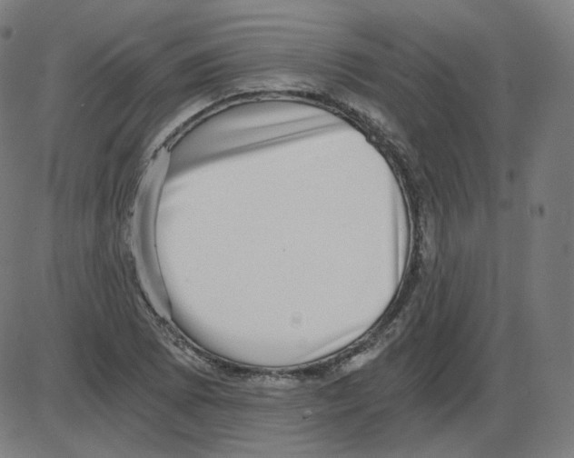 X0000084041073200703161825