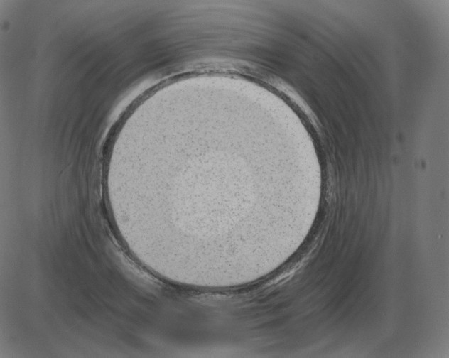 X0000084041075200703161825