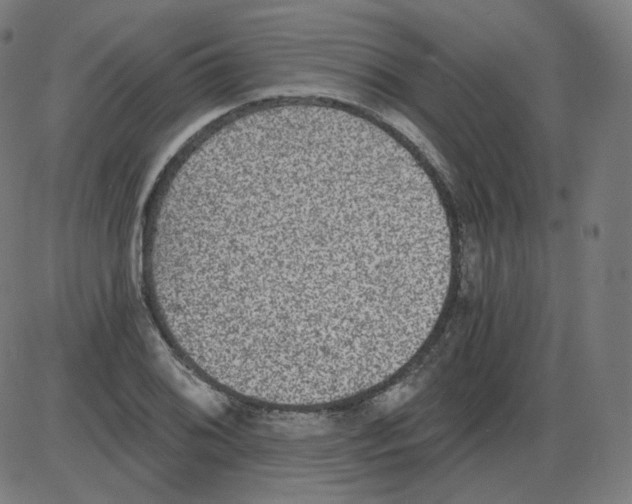 X0000084041076200703161825