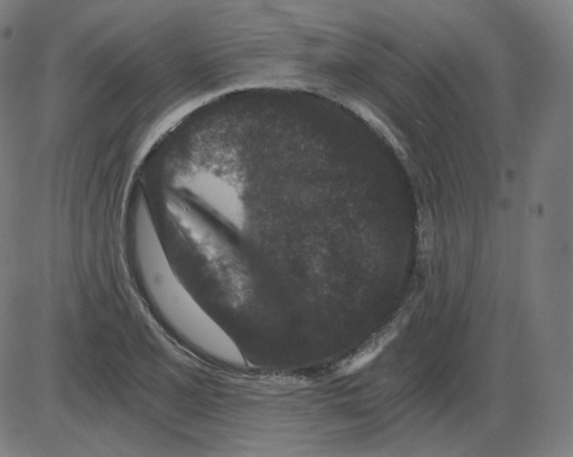 X0000084041077200703161825