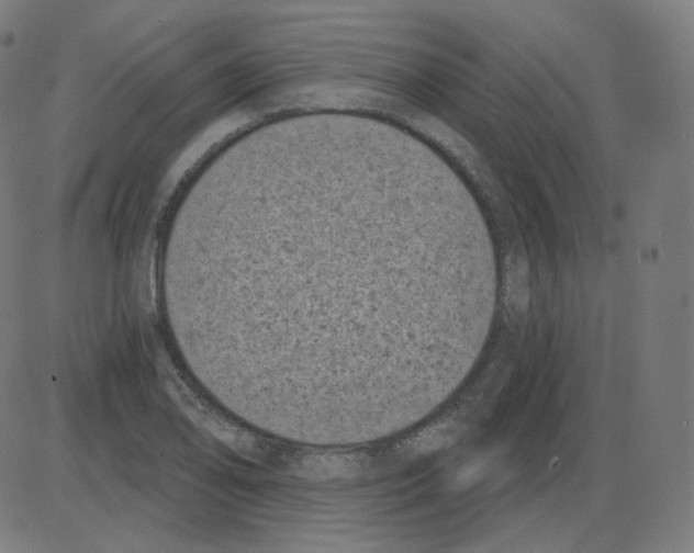 X0000084041078200703161825