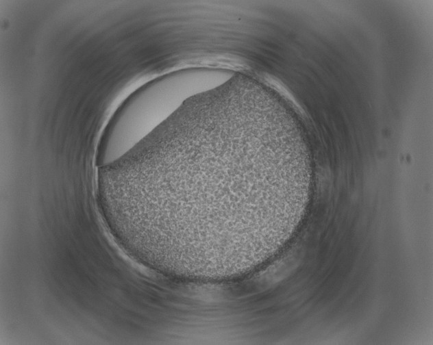 X0000084041079200703161825