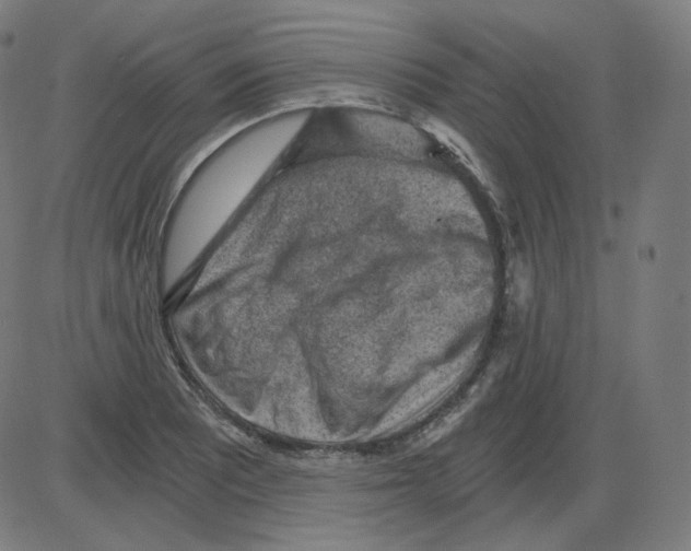 X0000084041081200703161825