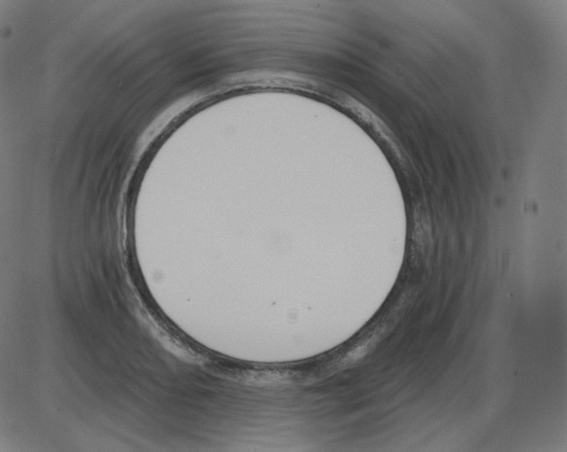 X0000084041082200703161825