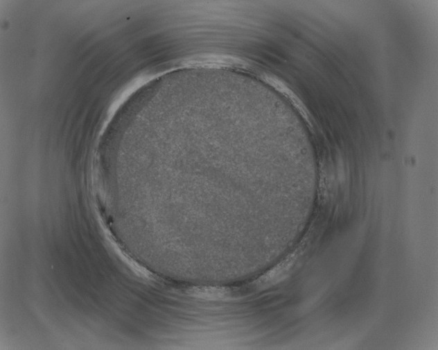 X0000084041083200703161825