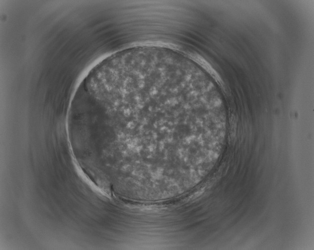 X0000084041084200703161825