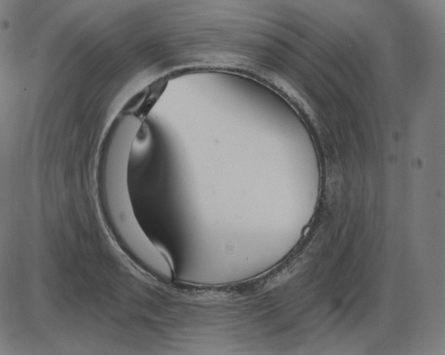 X0000084041085200703161825