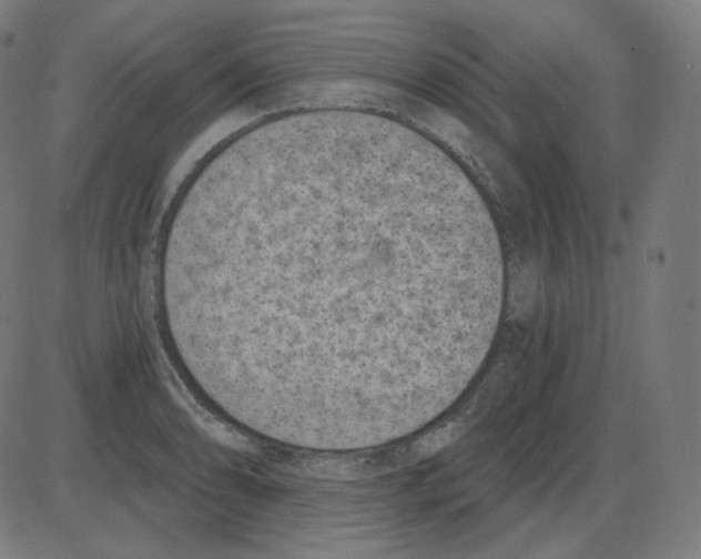 X0000084041086200703161825