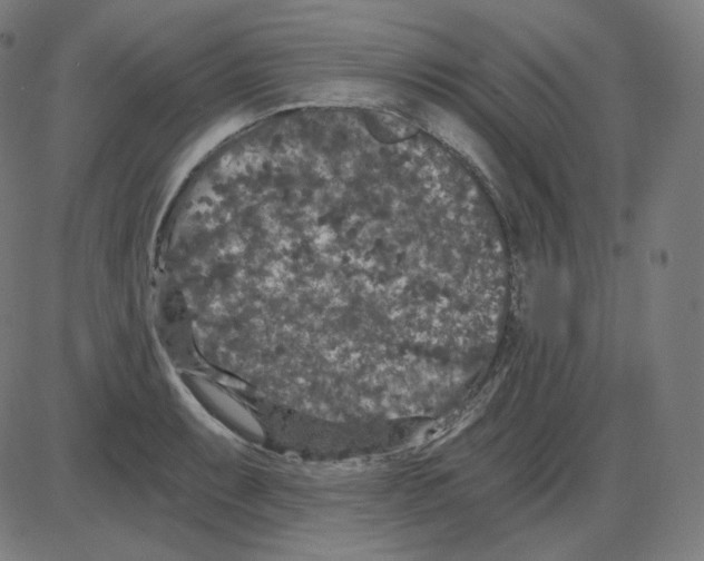 X0000084041087200703161825