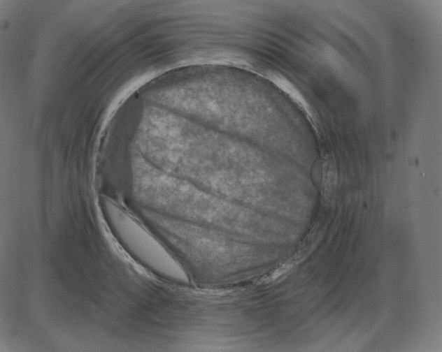 X0000084041088200703161825