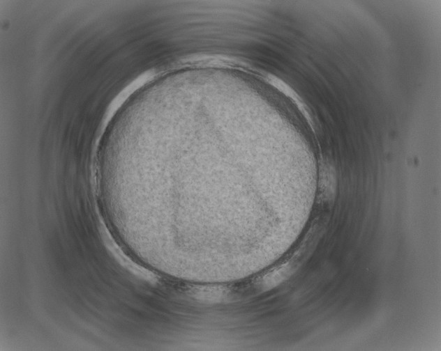 X0000084041090200703161825