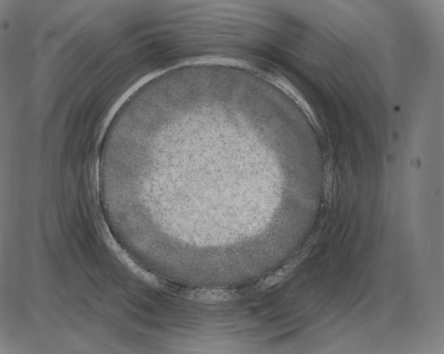 X0000084041092200703161825