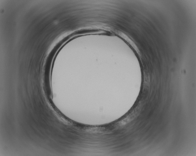 X0000084041093200703161825