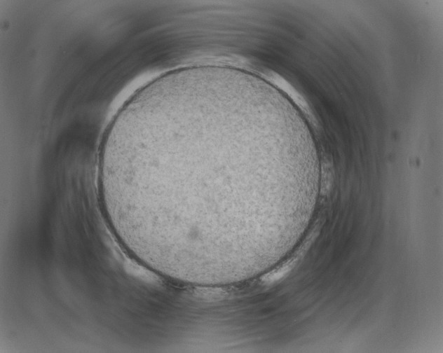 X0000084041094200703161825