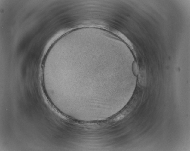 X0000084041096200703161825