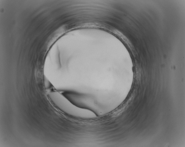 X0000084041097200703161825