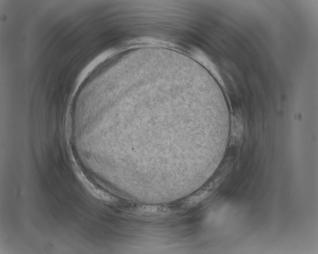 X0000084041098200703161825